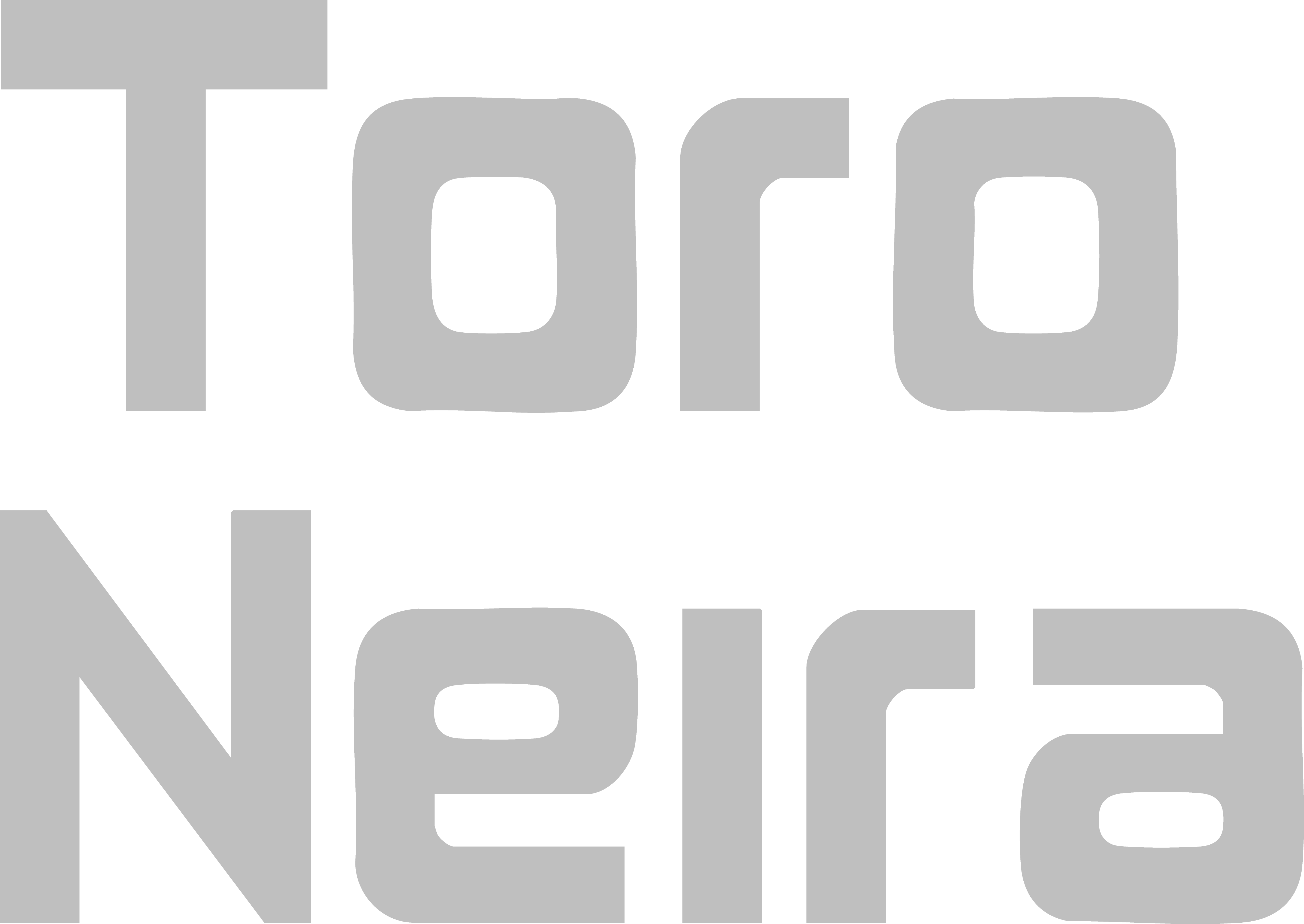 ToroNeira Logo